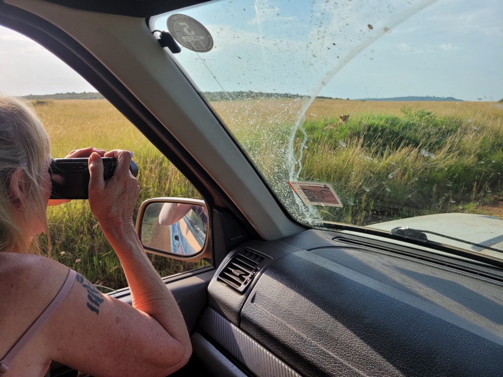 So close to lions in the mara while in our land rover overland camper