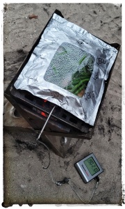 cooking fish on the barby'