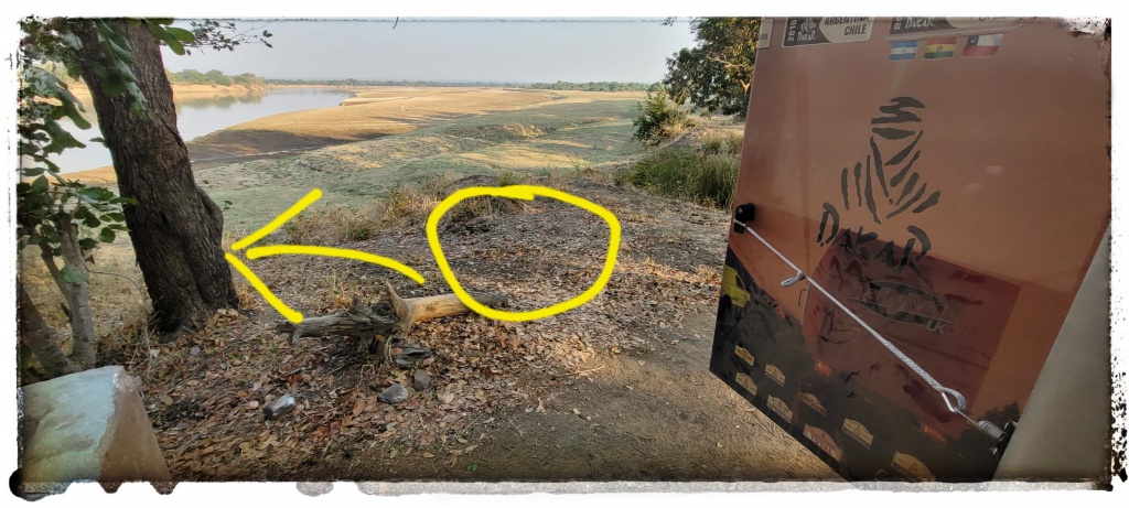 leopard in camping ground while on safari in africa