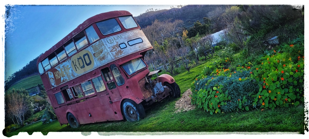 london bus in cape town