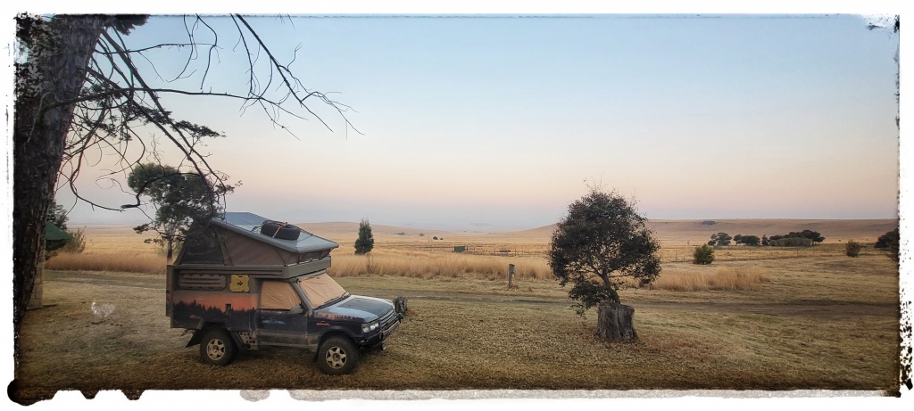 lions at moreson campsite