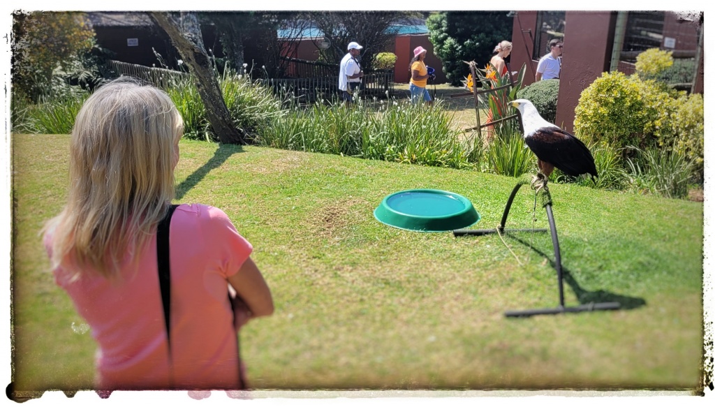 close to a fish eagle