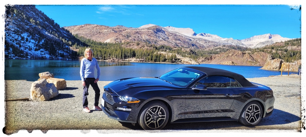 Tioga pass hot wife with Mustang