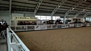 aintree horse jumping BSJA