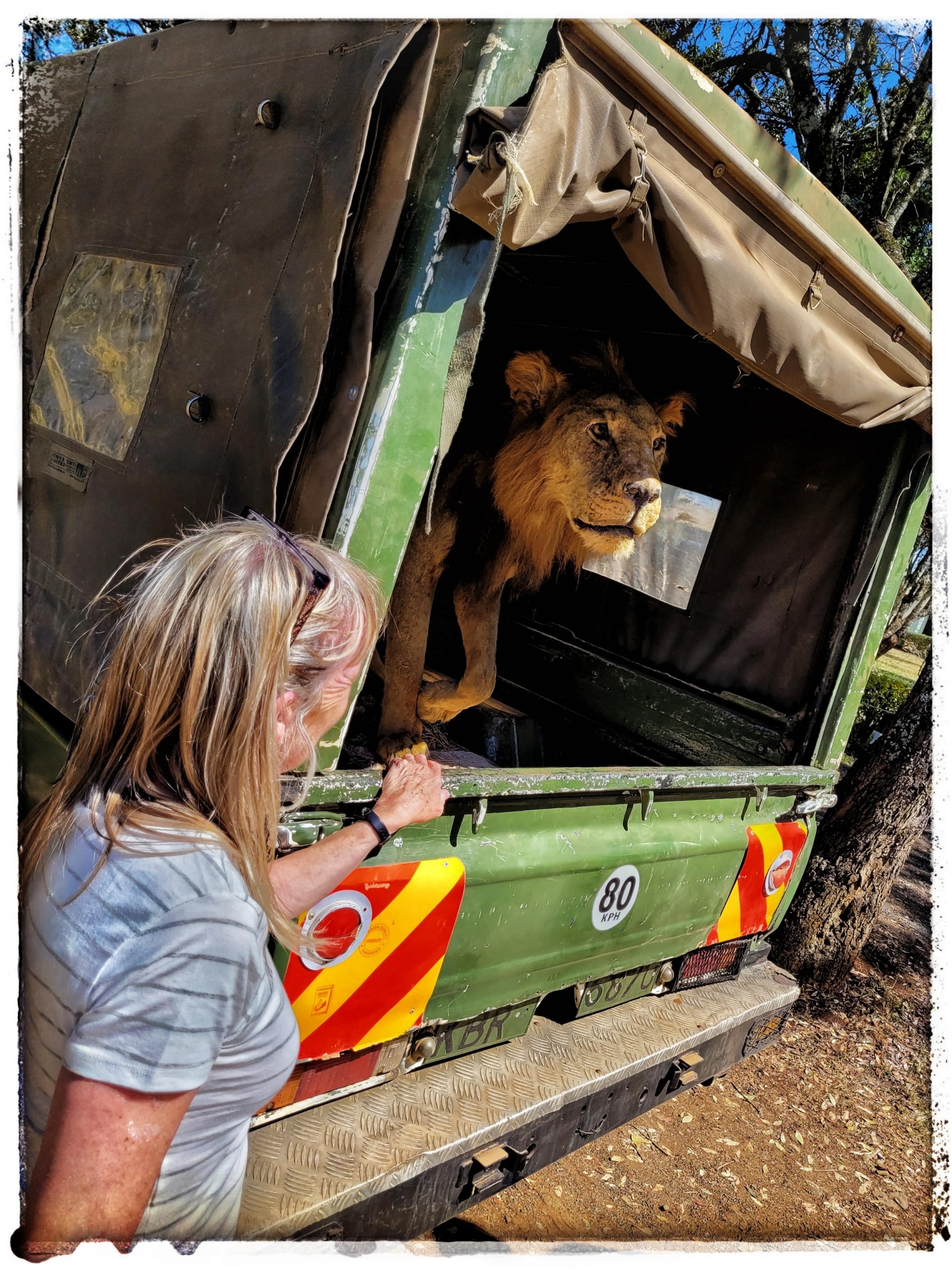 First encounters with Africa