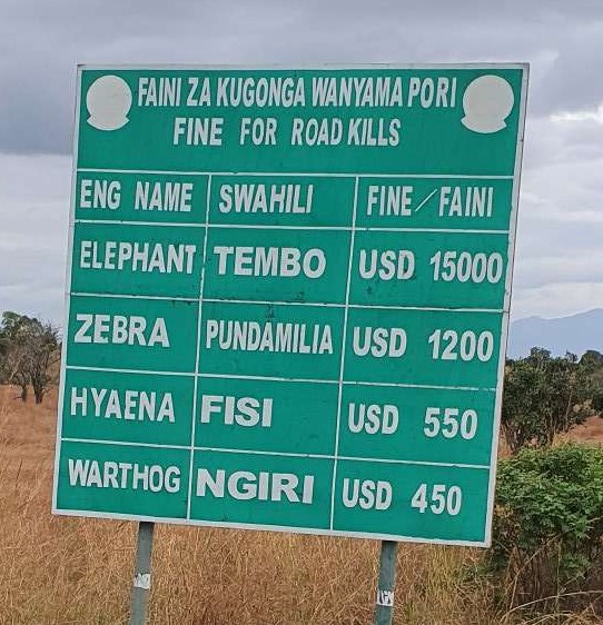 tanzanian corrupt police