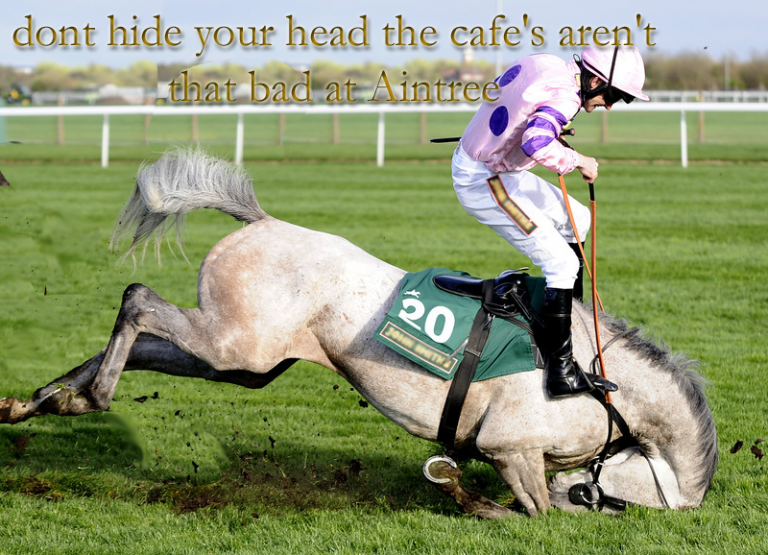 High Expectations of Aintree and the Elite BSJA show 2016…for the cafe